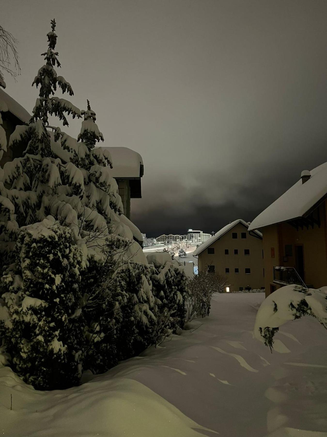 Apartmani Jasmina Zlatibor Dış mekan fotoğraf